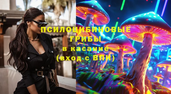 ГАЛЛЮЦИНОГЕННЫЕ ГРИБЫ Лагань