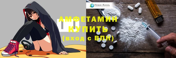ГАЛЛЮЦИНОГЕННЫЕ ГРИБЫ Лагань