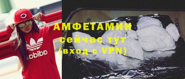 ГАЛЛЮЦИНОГЕННЫЕ ГРИБЫ Лагань