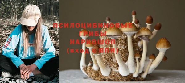 ГАЛЛЮЦИНОГЕННЫЕ ГРИБЫ Лагань