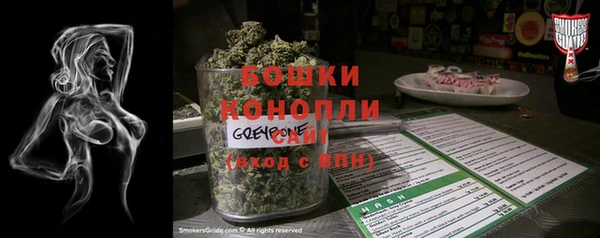 ГАЛЛЮЦИНОГЕННЫЕ ГРИБЫ Лагань
