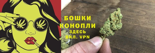 прущий лед Ладушкин