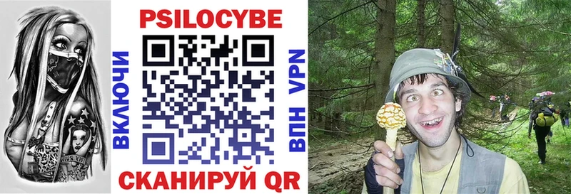 Галлюциногенные грибы Psilocybe  наркошоп  это наркотические препараты  Нижнекамск 